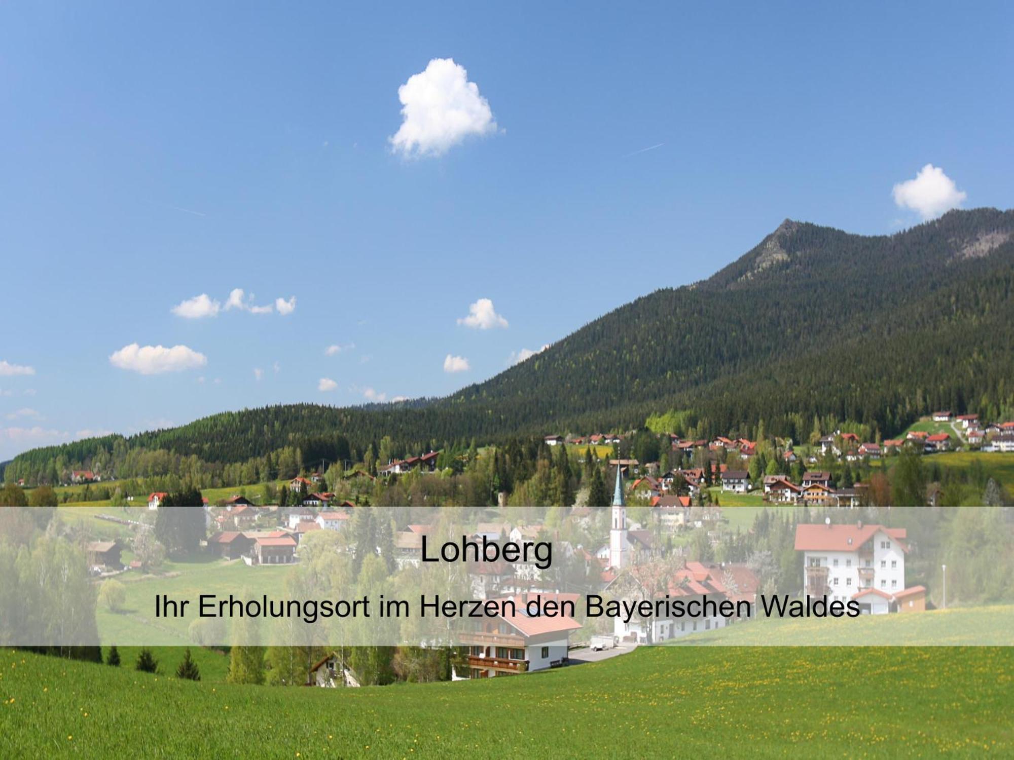 Garnihotel Zur Linde - Bayerischer Wald - Aktivcard Mit 154 Kostenfreien Leistungen - Kostenloser Parkplatz ローベルク エクステリア 写真